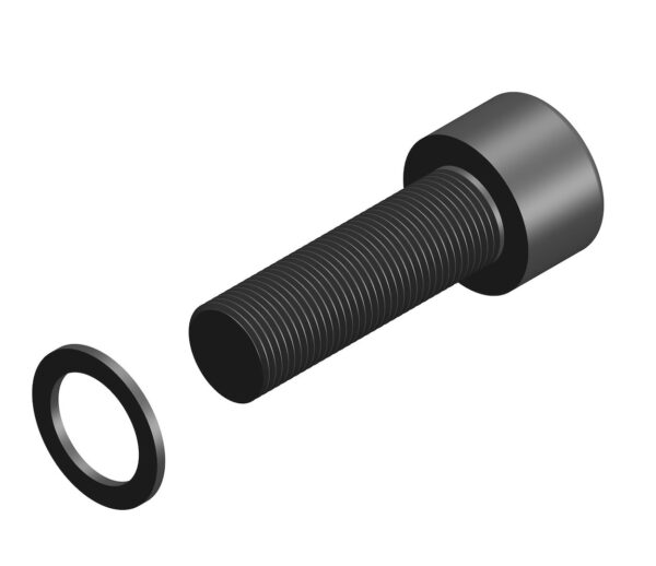 ORBEA SERWIS Śruba do chainstay/seatstay CARPE 2027
